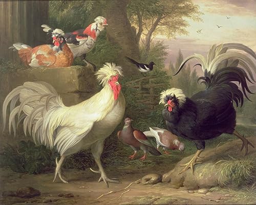 Lienzo de gallos y palomas SERENDIPITP, cuadro de pintura artística de 60x90cm
