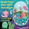Creativity for Kids Mini Garden: Axolotl Terrarium - STEM Science Kit for Kids, Axolotl Arts and Crafts, Gifts Holiday Stocking Stuffers and DIY Girls Toys (Age 6+) #1
