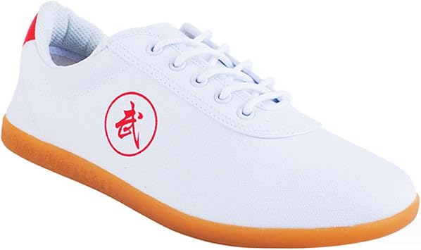 Karate Kung Fu Tai Chi Shoes,Taekwondo Shoes Training Sports Unisex Adult Children Non Slip Lightweight Canvas Tai Chi Martial Arts Shoes,Martial Arts ShoesSize45EU/9.5 US,ColorWhite