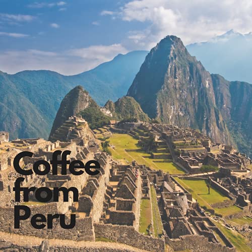 Café Peruanos en Grano 12 oz Tostado Medio miniatura 4