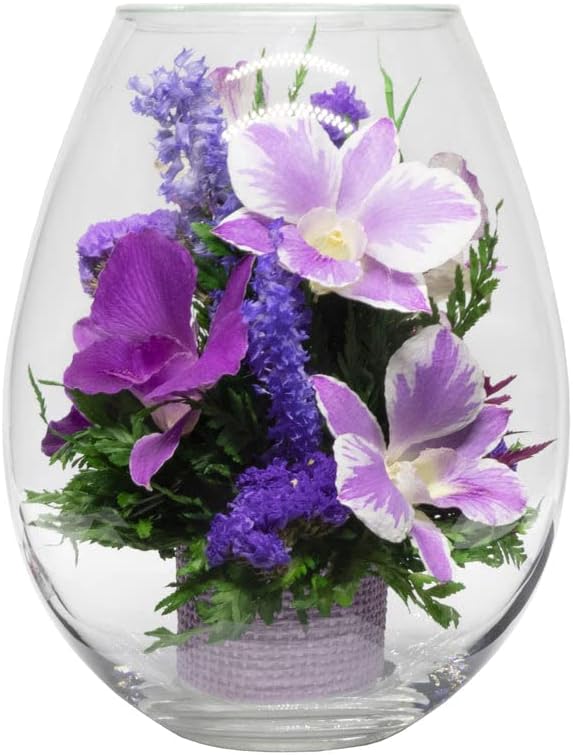 Fiora Flower Long Lasting Orchids