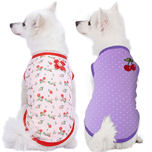 Blueberry Pet Pack of 2 Soft & Comfy Spring Hope Floral Cotton Blend Dog T Shirts Tank Top, Back Length 10', Clothes for Dogs