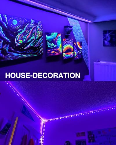 Onforu 32.8ft LED Black Light Strip Kit, 600 Units Lamp Beads, 12V Flexible Blacklight Fixtures, 10m Ribbon, Non-Waterproof for Glow Party, Indoor Birthday, Body Paint,Halloween - image 6