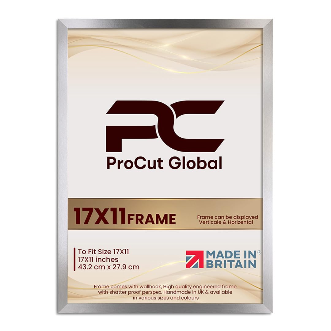 Procut Global 17X11 Aluminium Picture Frames - Modern Wooden Photo Frame with Shatterproof Perspex for Wall or Tabletop - Perfect for Posters, Certificates, Prints - Sizes & Colors Available