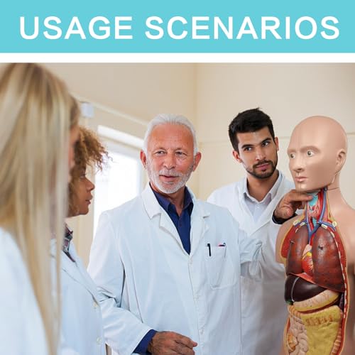 Image of EVOTECH SCIENTIFIC Deluxe Human Body Anatomical Model, 34.5 inch 12 Pcs Removable Human Torso Anatomy Model with Heart Head Skull Brain Liver Lungs for Medical Student, Lab & Classroom Use