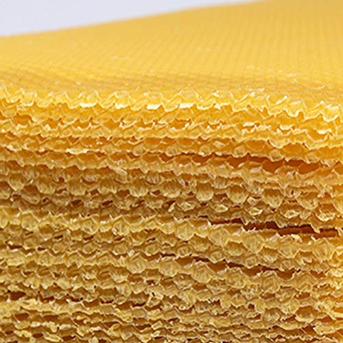 ACTIVLIFE for Troy Bilt Pony Tiller 12211 with Briggs 7.0hp Intek I/C 206 Carburetor Carb