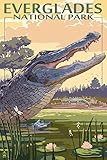 The Everglades National Park, Florida - Alligator Scene (9x12 Art Print, Wall Decor Travel Poster)