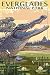The Everglades National Park, Florida - Alligator Scene (9x12 Art Print, Wall Decor Travel Poster)