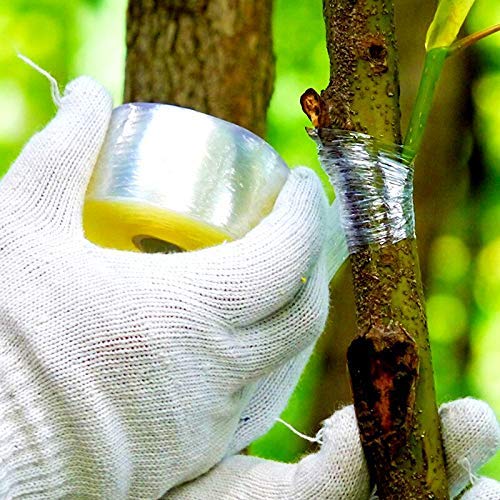 SVE 900M x 1.5 Inch Grafting Stretchable Tape for Nursery and Garden, Budding/Plant Repair Tape for Nursery & Garden, Moisture Barrier Waterproof, Length- 900meter, Width- 24mm (Pack of 1)
