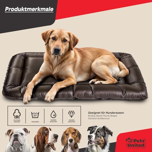 all Pets United® Hundekissen Hundebett Indoor & Outdoor; Hunde-Kissen Hunde-Körbchen; Schlafplatz für Hund & Katzen (L - 100x70 cm)