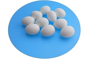 Huwaimi Dummy Eggs for Chickens