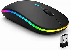 Mouse Sem Fio Recarregável Wireless Bluetooth Optico Led Rgb Colorido Ergonômico Usb 2.4 Ghz Notebook Computador Pc Desktop Linha Premium - Cores Sortidas