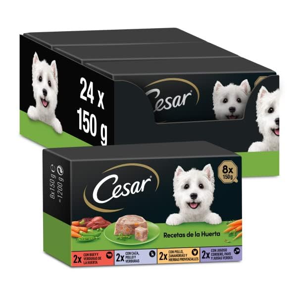 Cesar Nourriture Humide pour Chiens Recettes du Potager en pâté et gelée, Multipack 3 x 8 Pots x 150 g