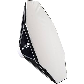 Amazon.com : Elinchrom D-Lite RX 4/4 Studio Flash to Go Kit