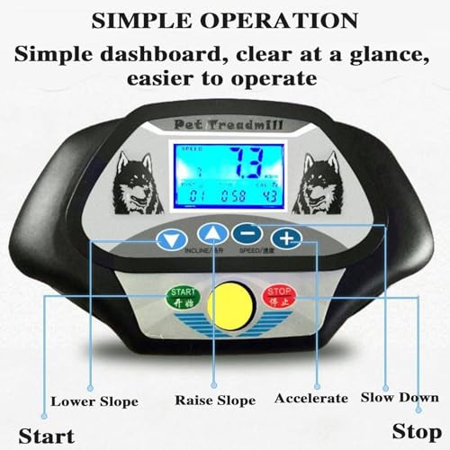 Chien s'entraînant sur tapis de course