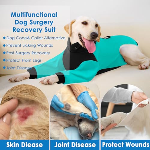 Image of AOFITEE Dog Recovery Suit for Front Legs, Breathable Dog Wound Care Shirt to Stop Licking, Thigh Protective Dog Surgical Suit Male Famale, Dog Surgery Suit Female Spay Cone Collar Alternative, Green