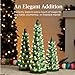 Best Choice Products Set of 3 Ceramic Christmas Trees, Pre-Lit Hand-Painted Tabletop Holiday Decoration w/Warm White Bulbs LED Lights – Green