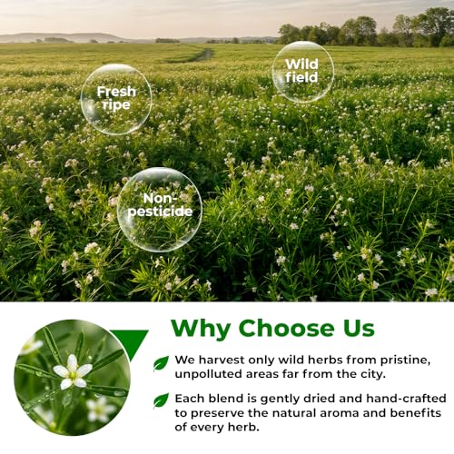 Image of 30 Bags Cleavers Herbal Tea (Galium Aparine) - 1.5g Tea Bag 30 Count Dried Cleavers Herb Tea