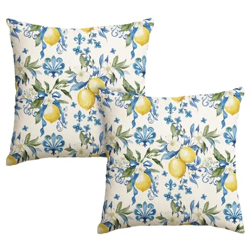 Artoid Mode Lot de 2 housses de coussin d'été au citron - 45 x 45 cm - Décoration saisonnière pour canapé, salon