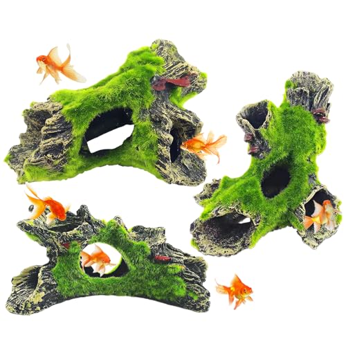 Acuarios Pequeños para Peces Marca BORDEAG