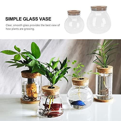 Cabilock 2Pcs l' impianto di Acqua di Vetro