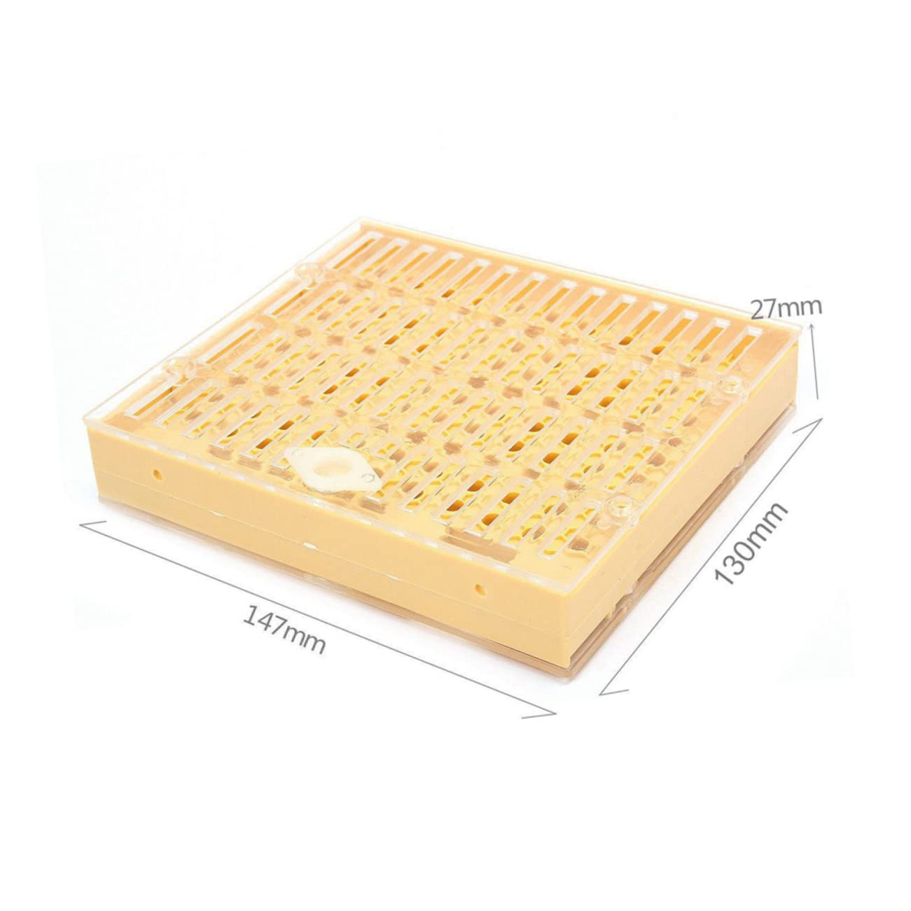 TOYANDONA Kit De Cría De Reinas Herramientas Apícolas Caja De Alimentación Kit De Jaula Accesorios Resistente Roturas Ligero