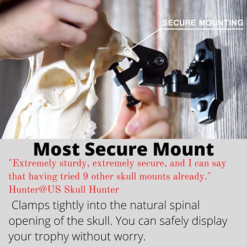 Tkmounts European Skull Mount Hanger - Secure Clamp, Fully Adjustable Angle, Easy Wall Mount For Deer, Bear, Antelope, Mid-Size Skulls #TOP2