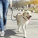 MoYouno 8M Lange einziehbare Hundeleine,hundeleine ausziehbar, Leine 8m,High-End Pet Lead Automatische ausziehbare Hundetrainingsleine bis zu 50kg für Kleine, Mittelgroße und Große Hunde (grau)