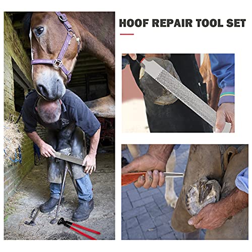 kekafu 5 Pcs 14 Inch Horse Farrier Tools Kit, Professional Farrier