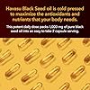 Black Seed Oil Capsules 120Ct. | 1000mg Cold Pressed Black Cumin Seed Oil Supplement | Potent Antioxidant for Immune Support & Digestive Health | High Strength Antioxidant | Nigella Sativa Liquid Caps