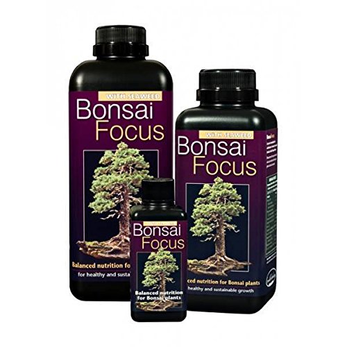bonsai focus 300ml