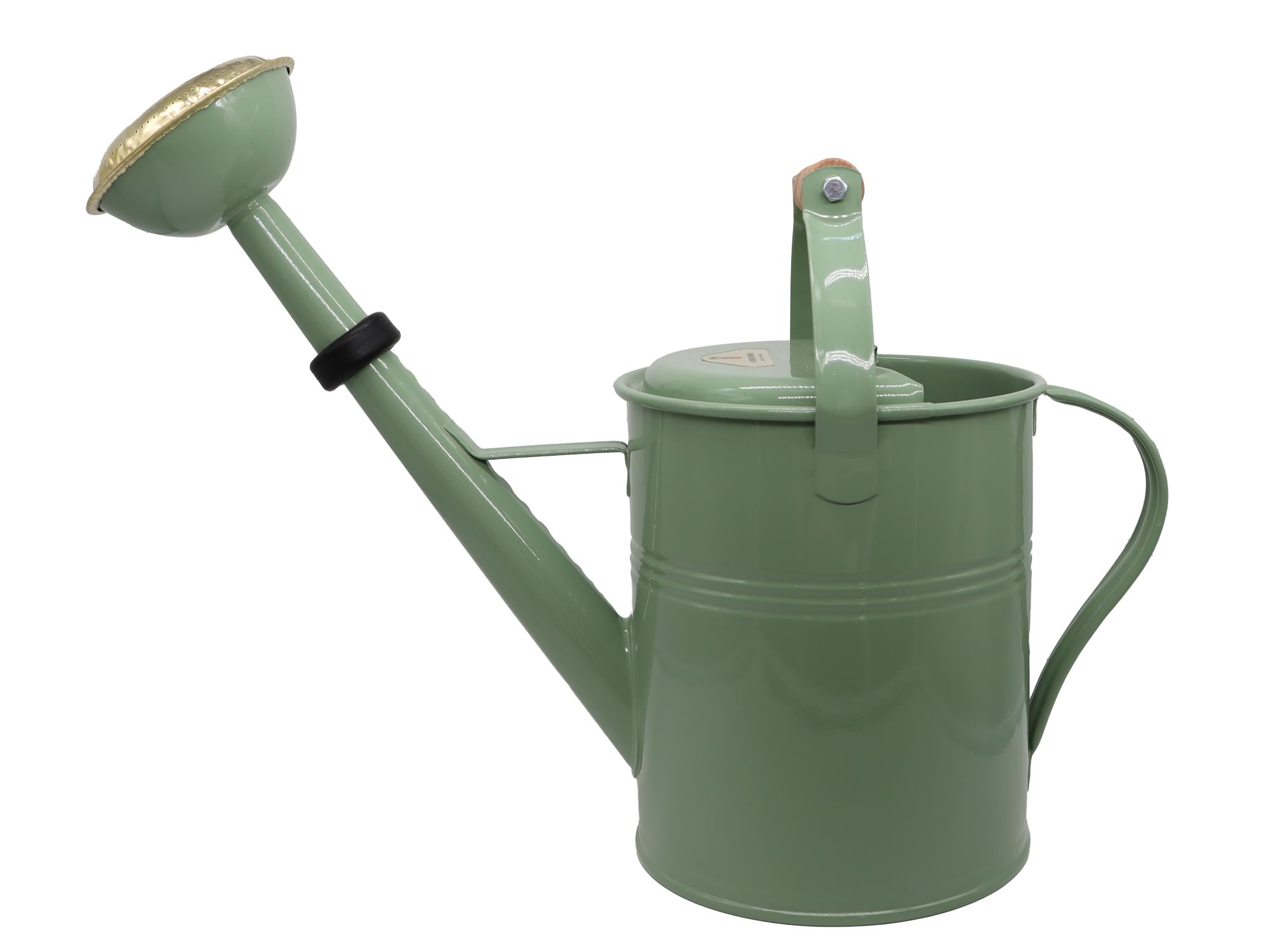 Homefarming Judith Rakers-Gießkanne 5 Liter, grün
