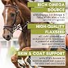 Wholistic Pet Organics Flaxseed Oil: Organic Flaxseed Oil for Horses -Flax Oil Horse Supplement with Antioxidant Rich Rosemary and Omega 3, 6 Fatty Acids for Cardio, Immune, Skin and Coat Health-16 Oz