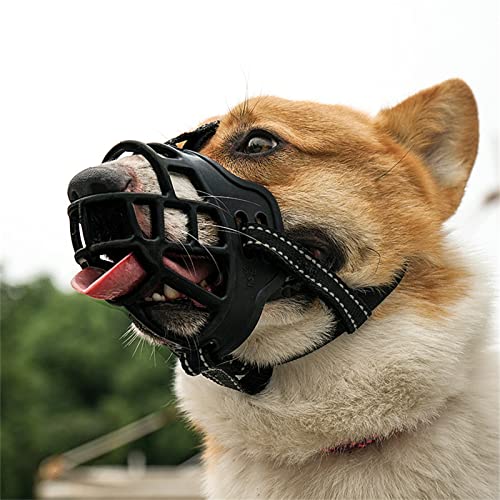 GerRiT ̃}Y p}XN Z@  p}Y Z[teB}XN Z Z@̌ ʖi ih Yrߖh~ EHh~ ݏ ݂ ߉\ ʋCbV p 咆^ Oo֗ObY Z (IW A