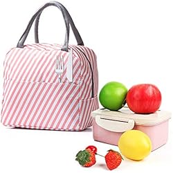 Andiker Bolsa Térmica, Bolso de Almuerzo Aisladora Fiambrera de Tela Oxford Bolso de Mano de Almuerzo Térmico a Prueba de Fugas para Exteriores Picnic Colegio Trabajo (raya)