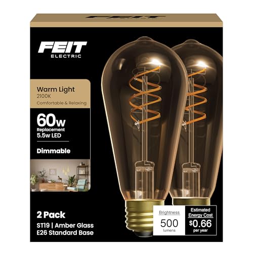Feit Electric ST19 Vintage LED Light Bulb, 60W Equivalent, 2100K