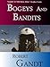 Bogeys and Bandits: The Making of a Fighter Pilot