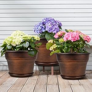 Plant Planters Pots Set of 4 Pack 8 Inch, Plastic Flower Pot for Indoor Plants with Drainage Holes & Trays, Resin Decorative Container Sets with Saucer for House Outdoor Garden Planters Copper Plant Planters Pots Set of 4 Pack 8 Inch Plastic Flower Pot for Indoor Plants with Drainage Holes Trays Resin Decorative Container Sets with Saucer for House Outdoor Garden Planters Copper