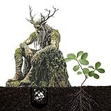 CHSEROK Garten Stecker Draußen Deko, 28 × 18 cm Lustige Gartenfiguren, Acryl Deko für Garten, 2D Dekostecker Waldgeist, für Topfpflanzen oder Geschenke
