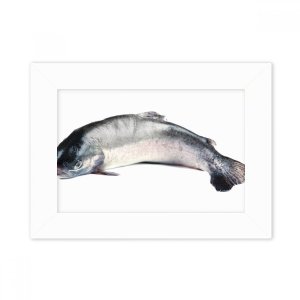 Cadre photo poisson multicolor pour décorer votre bureau de touches marines