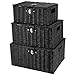 HAKZEON - Juego de 3 cestas de resina de almacenamiento, cestas de mimbre con tapa y cerradura, cestas apilables tejidas a mano, color negro, grande, mediano, pequeño para almacenamiento, decoración