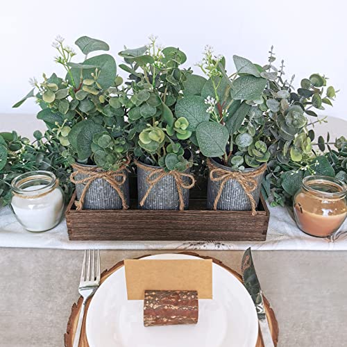 Set Of 3 Farmhouse Galvanized Metal Pots Centerpiece Artificial Silver Dollar Eucalyptus Greenery Arrangement With Rectangle Wood Box For Table Desk Shelf Mantel Home Kitchen Indoor Decoration Gifts #TOP4