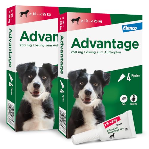 Advantage Spot On für Hunde 10 bis 25 kg (250mg), gegen Flöhe und Haarlinge | 2 x 4 Pipetten für 8 Monate Flohschutz: Wirkt bei Kontakt ohne Stich. Schnelle Wirkung. Einfache Anwendung im Nacken.