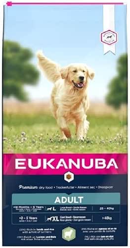 Eukanuba Chien Adulte Nourriture sèche Pour Grande Race Agneau&Riz 12kg