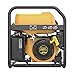 Firman P03601 Portable Generator, 3650-Watt, Recoil Start, 14 Hour Run Time - Quantity 1
