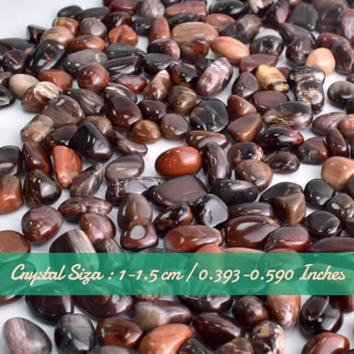 Image of Polished Petrified Wood Crystals - 72 Pcs, 0.5 inch 10 oz Handpicked Natural Tumbled Gemstones Rocks, Pebbles for Reiki, Chakra, Healing Home Decor