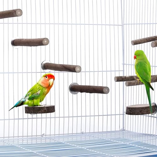 Image of Woohome 5 PCS Perch Bird Stand Toy Natural Wood Platform Natural Wood Bird Perch Stand for Small Birds Cockatiels Lovebirds Budgie Parrot
