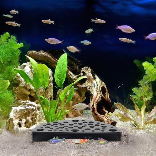 Image of 2 PCS Shrimp Hides for Aquarium, Shrimp Cave, Small Fish Tunnel Shrimp Breeding House, Plastic Shelters Aquarium Shrimp Hideout, Fish Tank Accessories Decor, Black