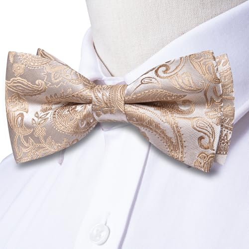 Image of Dubulle Mens Paisley Striped Bowtie Set Pre-tied Bowtie for Men and Pocket Square Set Wedding Business