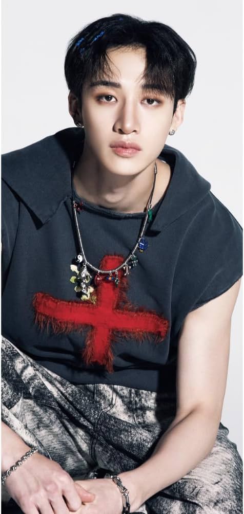 Amazon.co.jp: ストレイキッズ バンチャン パノラマポスター (Stray Amazon.co.jp: ストレイキッズ バンチャン パノラマポスター (Stray